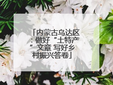 内蒙古乌达区：做好“土特产”文章 写好乡村振兴答卷