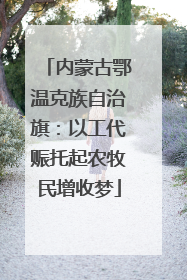 内蒙古鄂温克族自治旗：以工代赈托起农牧民增收梦
