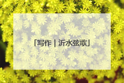 写作｜沂水弦歌