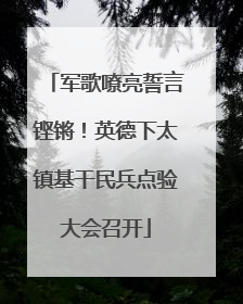 军歌嘹亮誓言铿锵！英德下太镇基干民兵点验大会召开