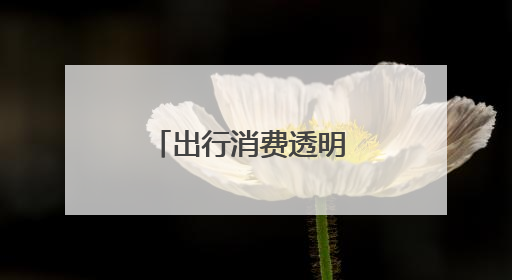 出行消费透明 安全便捷省心 探究小拉出行的“省”与“快”