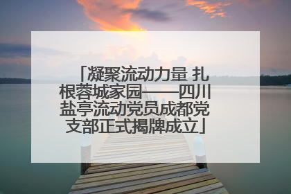 凝聚流动力量 扎根蓉城家园——四川盐亭流动党员成都党支部正式揭牌成立