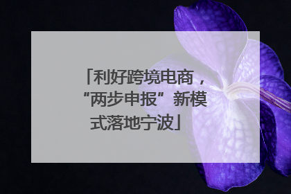 利好跨境电商，“两步申报”新模式落地宁波