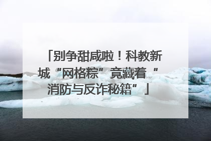 别争甜咸啦！科教新城“网格粽”竟藏着“消防与反诈秘籍”