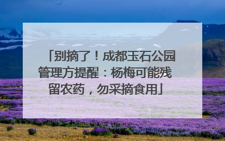 别摘了！成都玉石公园管理方提醒：杨梅可能残留农药，勿采摘食用