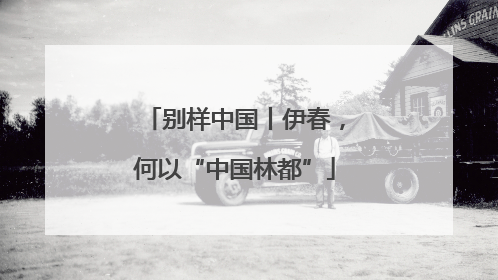 别样中国丨伊春，何以“中国林都”