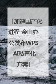 加速国产化进程 金山办公发布WPS AI私有化方案