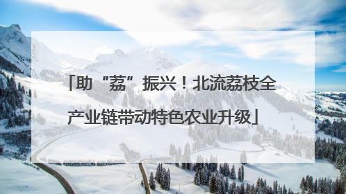 助“荔”振兴！北流荔枝全产业链带动特色农业升级