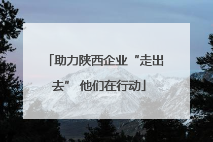 助力陕西企业“走出去” 他们在行动