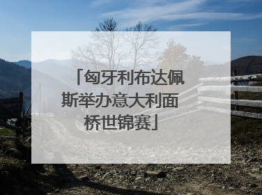 匈牙利布达佩斯举办意大利面桥世锦赛