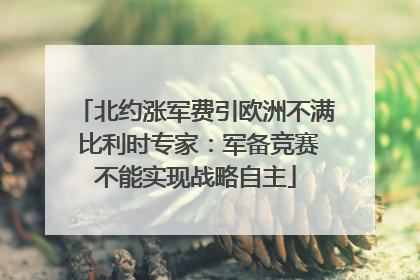 北约涨军费引欧洲不满 比利时专家：军备竞赛不能实现战略自主