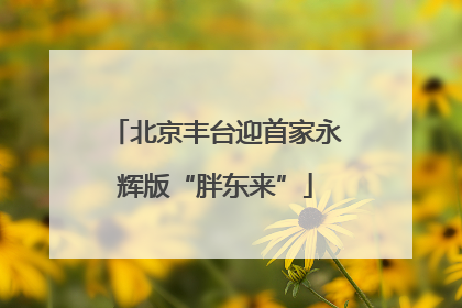 北京丰台迎首家永辉版“胖东来”