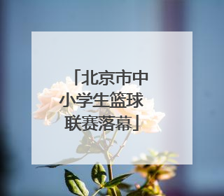 北京市中小学生篮球联赛落幕