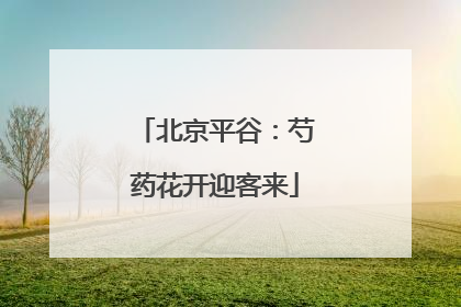 北京平谷：芍药花开迎客来