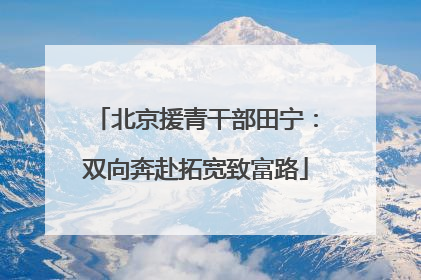 北京援青干部田宁：双向奔赴拓宽致富路