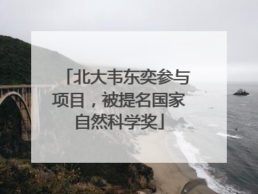 北大韦东奕参与项目，被提名国家自然科学奖