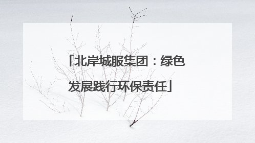 北岸城服集团：绿色发展践行环保责任