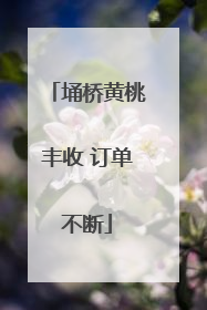 埇桥黄桃丰收 订单不断