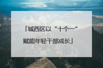 城西区以“十个一”赋能年轻干部成长