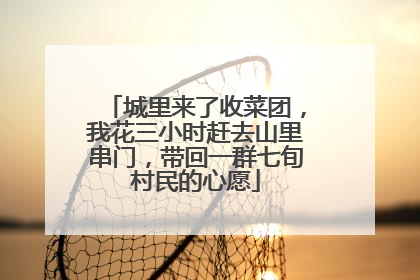 城里来了收菜团，我花三小时赶去山里串门，带回一群七旬村民的心愿