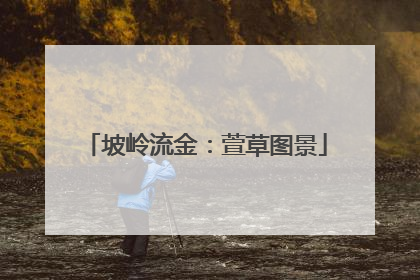 坡岭流金：萱草图景