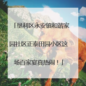 垦利区永安镇和谐家园社区正泰田园小区这场百家宴真热闹！