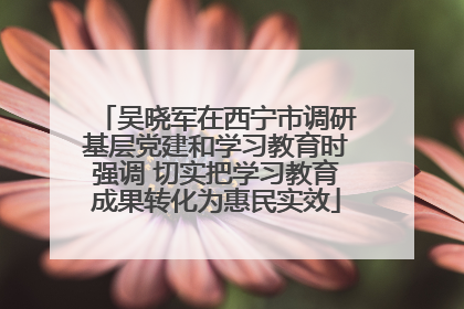 吴晓军在西宁市调研基层党建和学习教育时强调 切实把学习教育成果转化为惠民实效