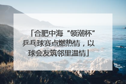 合肥中海“领潮杯”乒乓球赛点燃热情，以球会友筑邻里温情