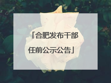 合肥发布干部任前公示公告
