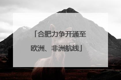 合肥力争开通至欧洲、非洲航线