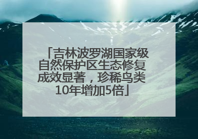 吉林波罗湖国家级自然保护区生态修复成效显著，珍稀鸟类10年增加5倍