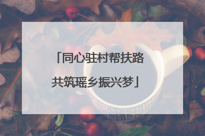同心驻村帮扶路 共筑瑶乡振兴梦