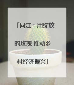同江：用绽放的玫瑰 推动乡村经济振兴