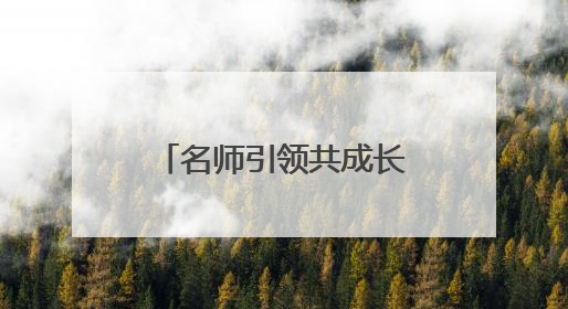 名师引领共成长，峨眉实小、乐山市白兰花工作站送教南山学区