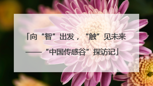 向“智”出发，“触”见未来——“中国传感谷”探访记