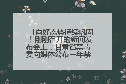 向好态势持续巩固！刚刚召开的新闻发布会上，甘肃省禁毒委向媒体公布三年禁毒工作“成绩单”