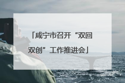 咸宁市召开“双回双创”工作推进会
