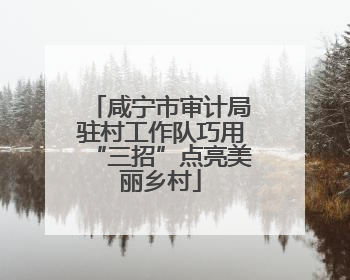 咸宁市审计局驻村工作队巧用“三招”点亮美丽乡村