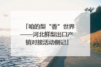 咱的梨“香”世界——河北鲜梨出口产销对接活动侧记
