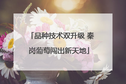 品种技术双升级 秦岗葡萄闯出新天地