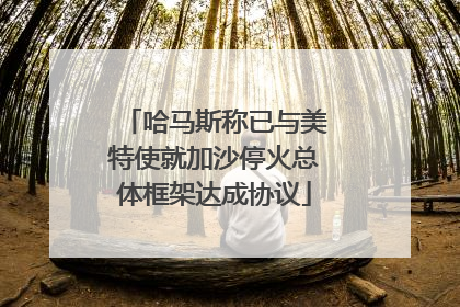 哈马斯称已与美特使就加沙停火总体框架达成协议