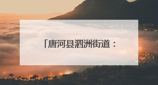 唐河县泗洲街道：深学细悟强本领 履职尽责担使命