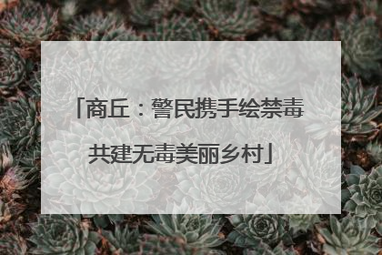 商丘：警民携手绘禁毒 共建无毒美丽乡村