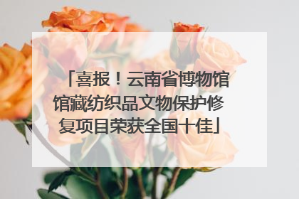 喜报！云南省博物馆馆藏纺织品文物保护修复项目荣获全国十佳