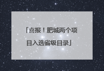 喜报！肥城两个项目入选省级目录