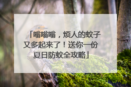 嗡嗡嗡，烦人的蚊子又多起来了！送你一份夏日防蚊全攻略