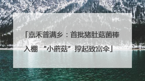嘉禾普满乡:首批猪肚菇菌棒入棚 “小蘑菇”撑起致富伞
