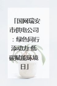 国网瑞安市供电公司：绿色同行添动力 低碳赋能环境日
