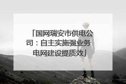 国网瑞安市供电公司：自主实施强业务 电网建设提质效