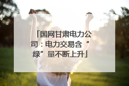 国网甘肃电力公司：电力交易含“绿”量不断上升